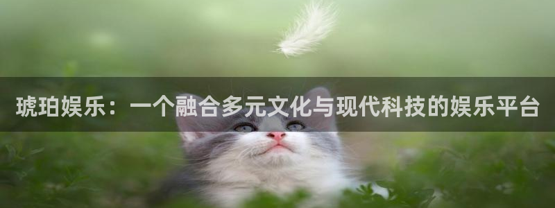 蓝狮娱乐手机客户端下载安装