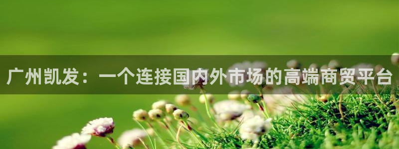 蓝狮娱乐链接：广州凯发：一个连接国内外市场的高端商贸平台