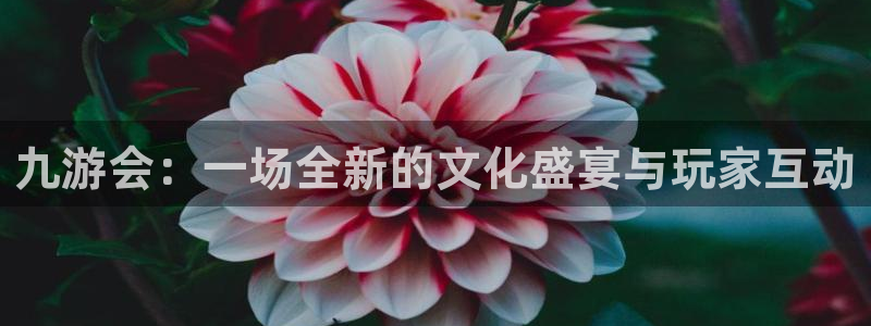蓝狮娱乐集团官网：九游会：一场全新的文化盛宴与玩家互动