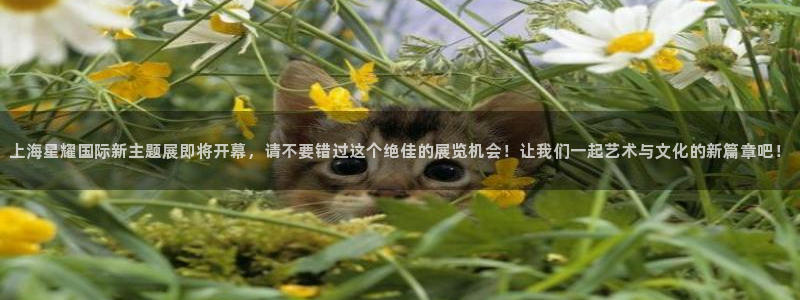 蓝狮娱乐下载链接是多少：上海星耀国际新主题展即将开幕，请不要错过这个绝佳的展览机会！让我们一起艺术与文化的新篇章吧！