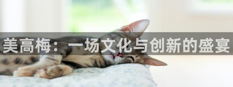 蓝狮娱乐电子有限公司：美高梅：一场文化与创新的盛宴