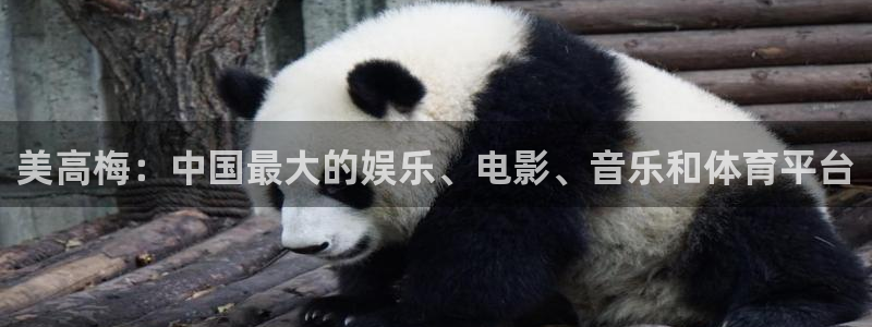 蓝狮娱乐官方网站：美高梅：中国最大的娱乐、电影、音乐和体育平台
