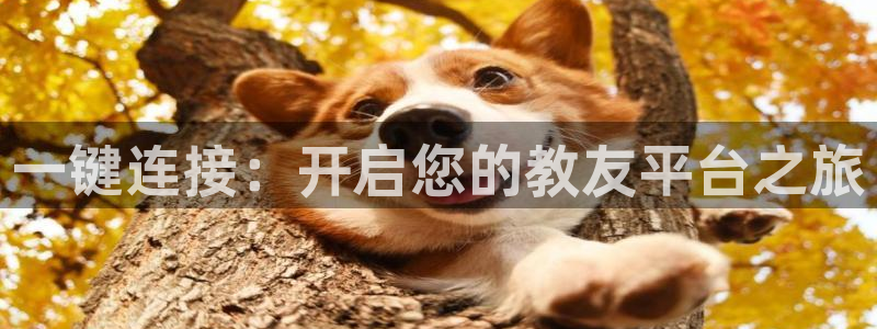 蓝狮娱乐体育凯捷平台主管：一键连接：开启您的教友平台之旅