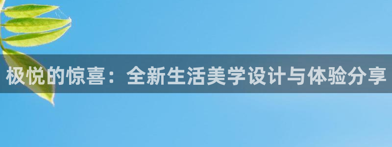 蓝狮娱乐游戏官网平台入口：极悦的惊喜：全新生活美学设计与体验分享