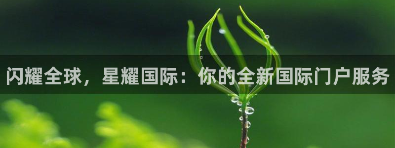 蓝狮娱乐注册登录入口：闪耀全球，星耀国际：你的全新国际门户服务