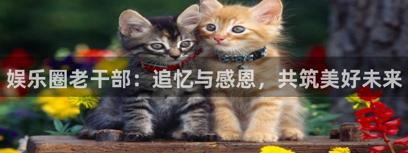 蓝狮娱乐3平台登录注册：娱乐圈老干部：追忆与感恩，共筑美好未来