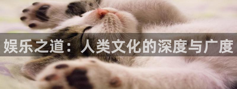 蓝狮娱乐体育平台开号链接：娱乐之道：人类文化的深度与广度