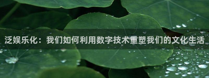 蓝狮娱乐app最新版：泛娱乐化：我们如何利用数字技术重塑我们的文化生活