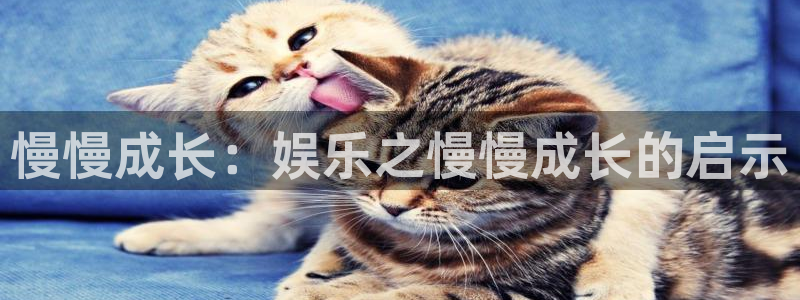 蓝狮娱乐平台官方网站：慢慢成长：娱乐之慢慢成长的启示