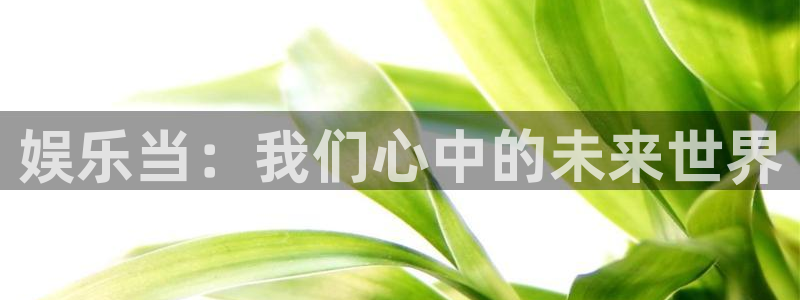 蓝狮娱乐3官网登录：娱乐当：我们心中的未来世界