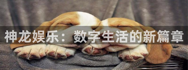 蓝狮娱乐平台官方入口下载：神龙娱乐：数字生活的新篇章