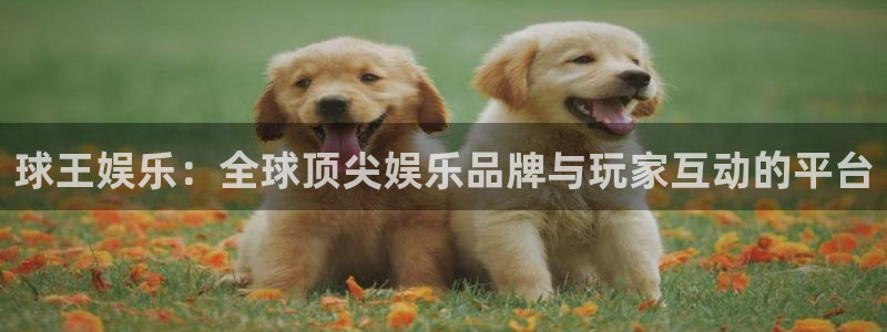 蓝狮娱乐平台在线开户：球王娱乐：全球顶尖娱乐品牌与玩家互动的平台