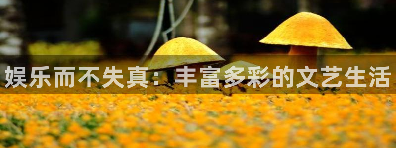 蓝狮娱乐是啥：娱乐而不失真：丰富多彩的文艺生活