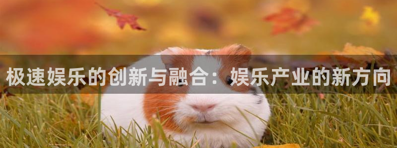 蓝狮娱乐vk：极速娱乐的创新与融合：娱乐产业的新方向