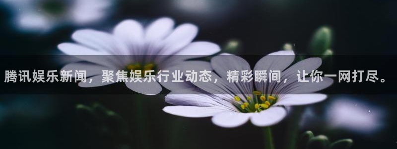 蓝狮娱乐预测pc在线预测网址：腾讯娱乐新闻，聚焦娱乐行业动态，精彩瞬间，让你一网打尽。