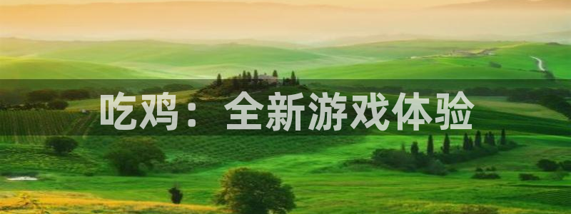 蓝狮娱乐体育f开号：吃鸡：全新游戏体验