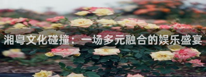 蓝狮娱乐是真的吗：湘粤文化碰撞：一场多元融合的娱乐盛宴