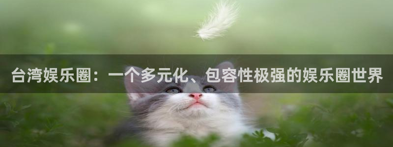 蓝狮娱乐4平台注册：台湾娱乐圈：一个多元化、包容性极强的娱乐圈世界