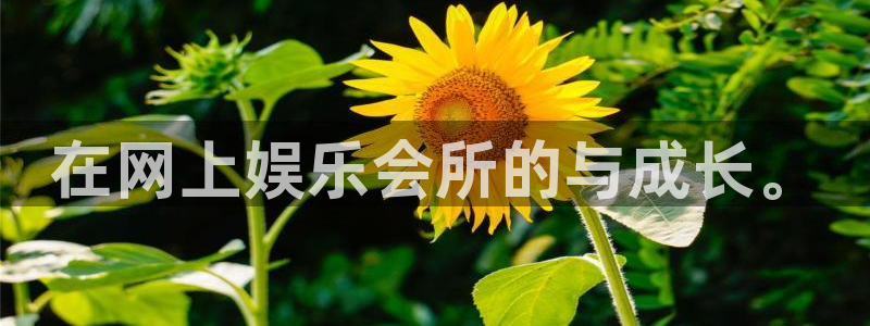 蓝狮娱乐娱乐：在网上娱乐会所的与成长。