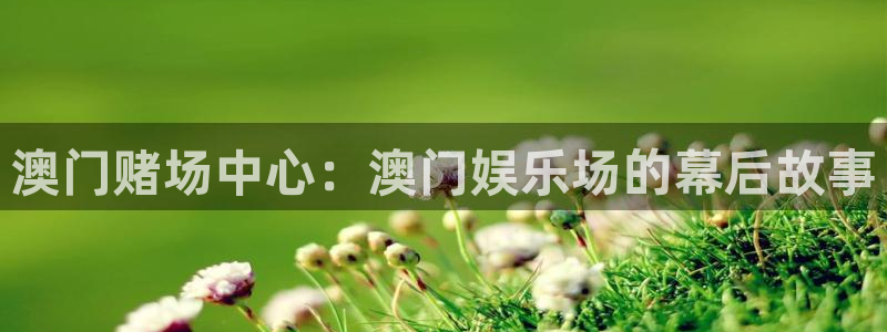 蓝狮娱乐官网入口