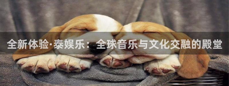蓝狮娱乐2官网：全新体验·泰娱乐：全球音乐与文化交融的殿堂