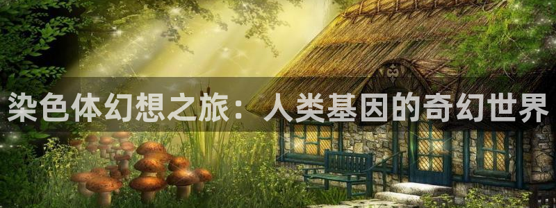 蓝狮娱乐是什么：染色体幻想之旅：人类基因的奇幻世界