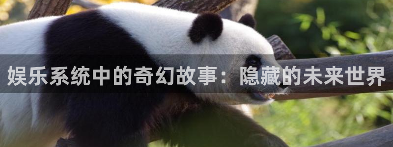 南宫蓝狮娱乐：娱乐系统中的奇幻故事：隐藏的未来世界
