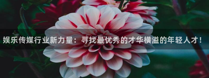蓝狮娱乐3平台注册：娱乐传媒行业新力量：寻找最优秀的才华横溢的年轻人才！