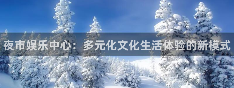 蓝狮娱乐零能源集团：夜市娱乐中心：多元化文化生活体验的新模式