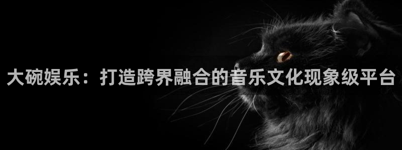 蓝狮娱乐放水时间：大碗娱乐：打造跨界融合的音乐文化现象级平台