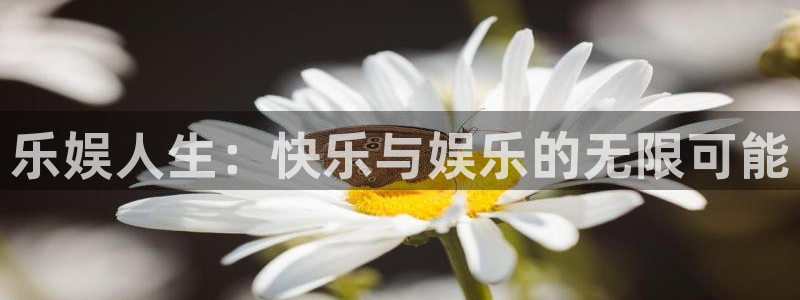 蓝狮娱乐官方网站