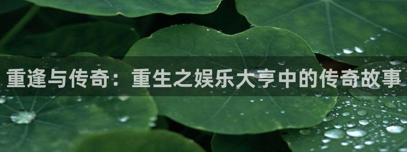 蓝狮娱乐游戏官网平台：重逢与传奇：重生之娱乐大亨中的传奇故事