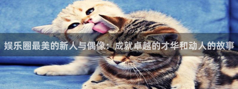 蓝狮娱乐3登陆：娱乐圈最美的新人与偶像：成就卓越的才华和动人的故事