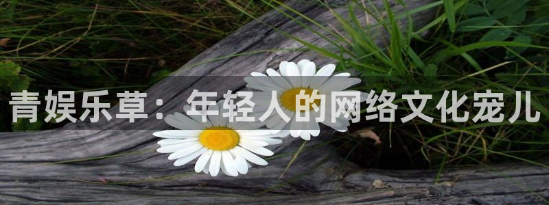 蓝狮娱乐账号注册入口：青娱乐草：年轻人的网络文化宠儿