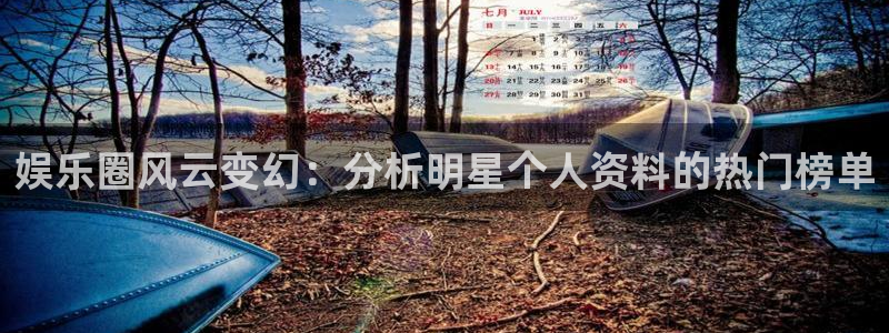 蓝狮娱乐是正规平台吗：娱乐圈风云变幻：分析明星个人资料的热门榜单