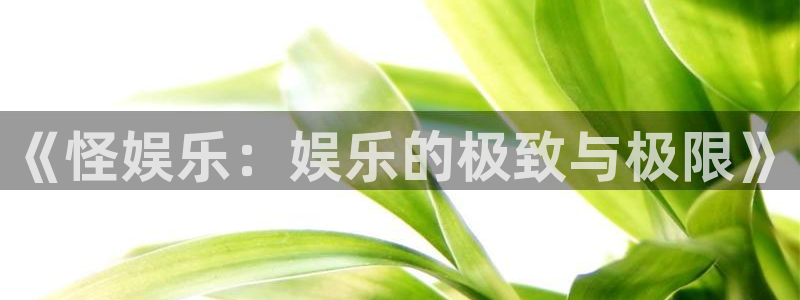 蓝狮娱乐体育老板是谁：《怪娱乐：娱乐的极致与极限》