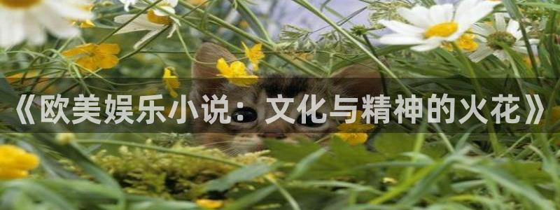 蓝狮娱乐体育：《欧美娱乐小说：文化与精神的火花》
