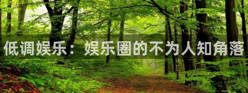 蓝狮娱乐平台：低调娱乐：娱乐圈的不为人知角落