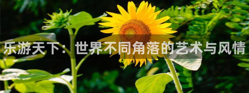 蓝狮娱乐体育老板是谁：乐游天下：世界不同角落的艺术与风情