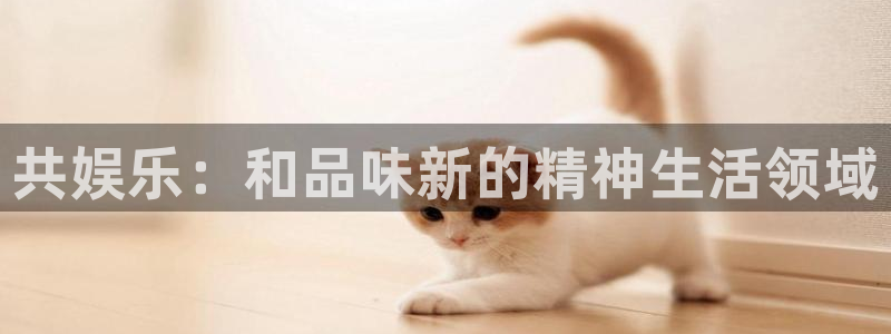 蓝狮娱乐平台官方网站：共娱乐：和品味新的精神生活领域