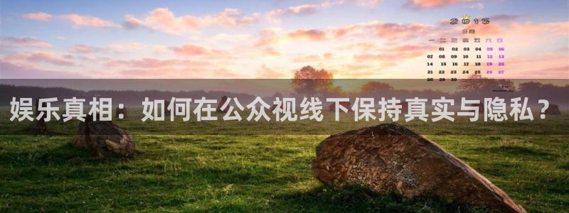 蓝狮娱乐平台在线注册：娱乐真相：如何在公众视线下保持真实与隐私？