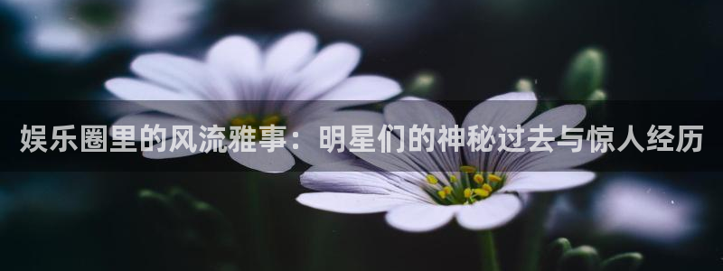 蓝狮娱乐体育在线注册：娱乐圈里的风流雅事：明星们的神秘过去与惊人经历