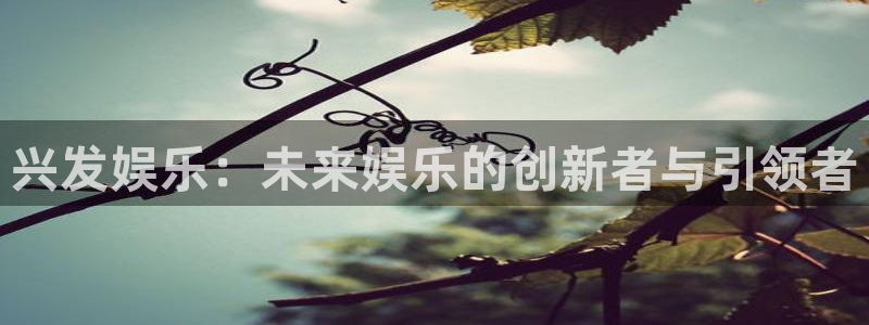 蓝狮娱乐麻将胡了：兴发娱乐：未来娱乐的创新者与引领者