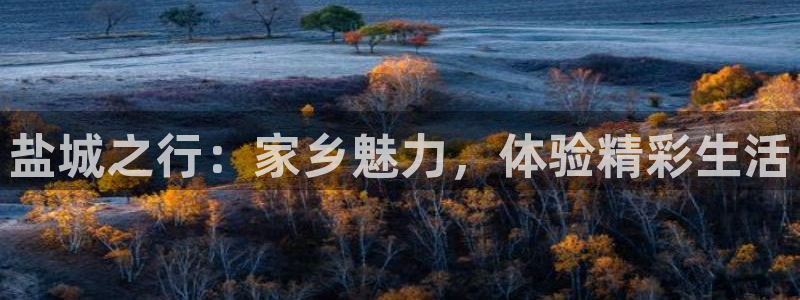 蓝狮娱乐官网版下载链接：盐城之行：家乡魅力，体验精彩生活