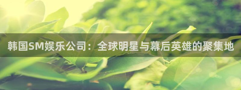 蓝狮娱乐体育凯捷平台主管：韩国SM娱乐公司：全球明星与幕后英雄的聚集地